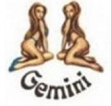 близнецы - gemini